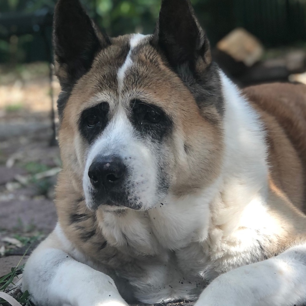 Meet your Posher, Charlotte